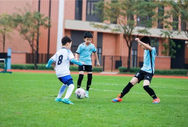 哈罗海口2024-2025学年奖学金申请！奖学金名额多达36名！(图8)