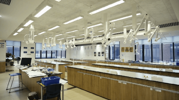 横琴哈罗礼德学校2024/25年简章！(图31)