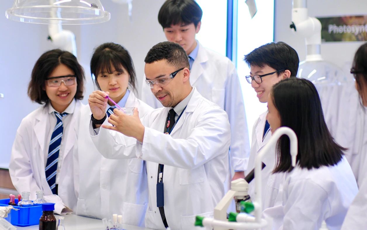 哈罗横琴资优学生奖学金-中考成绩优秀者可冲全额奖学金！(图4)
