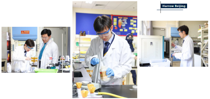 Graduate Story｜当哥特文学少年爱上物理：Simon X的牛津之路，从哈罗北京出发(图3)