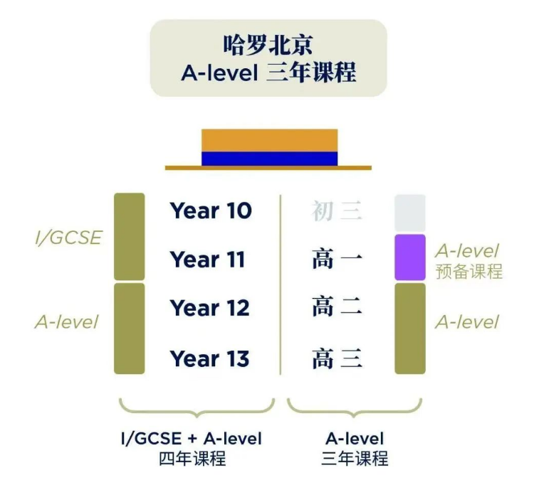 中考后，选择哈罗北京 A Level：三年耕耘，解锁你的更多可能(图3)